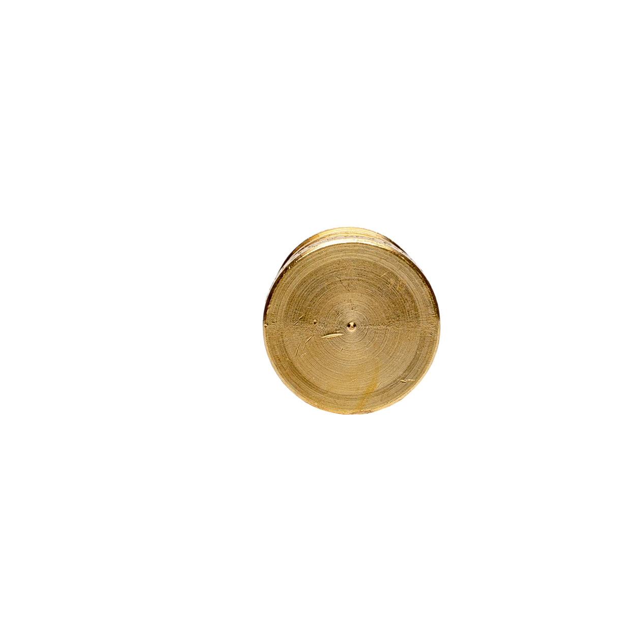 3/4" PEX Brass Plug