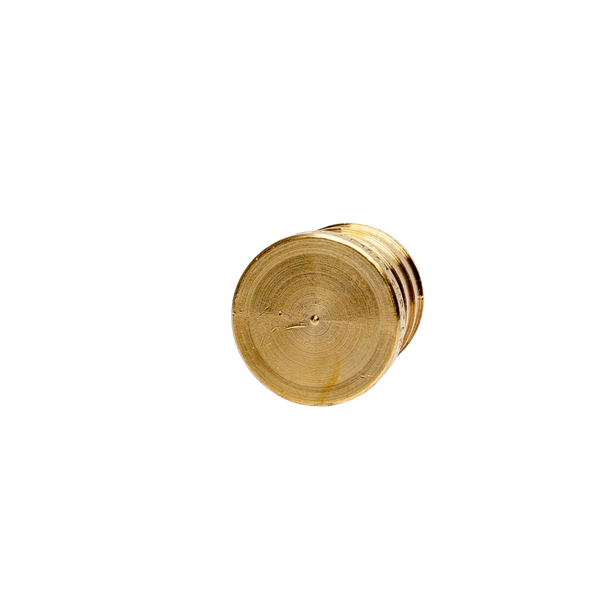 3/4" PEX Brass Plug