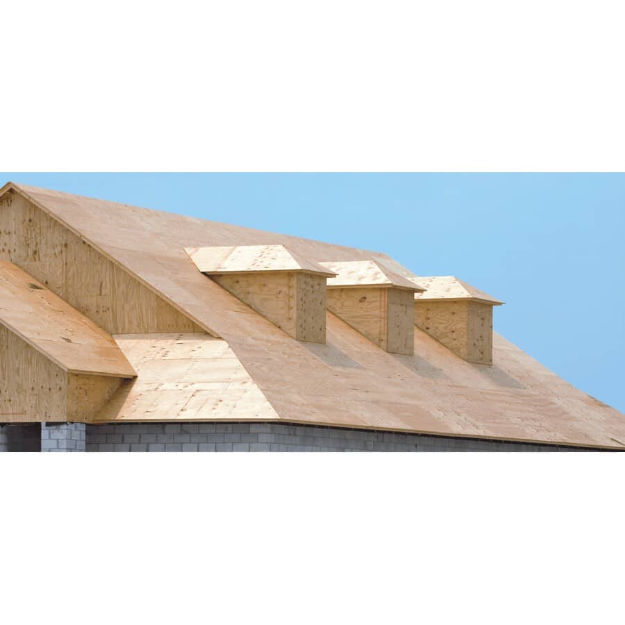 4' x 8' x 3/8" (9.5 mm) Standard Spruce Plywood