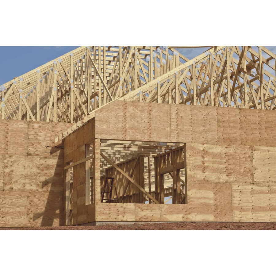 4' x 8' x 3/8" (9.5 mm) Standard Spruce Plywood