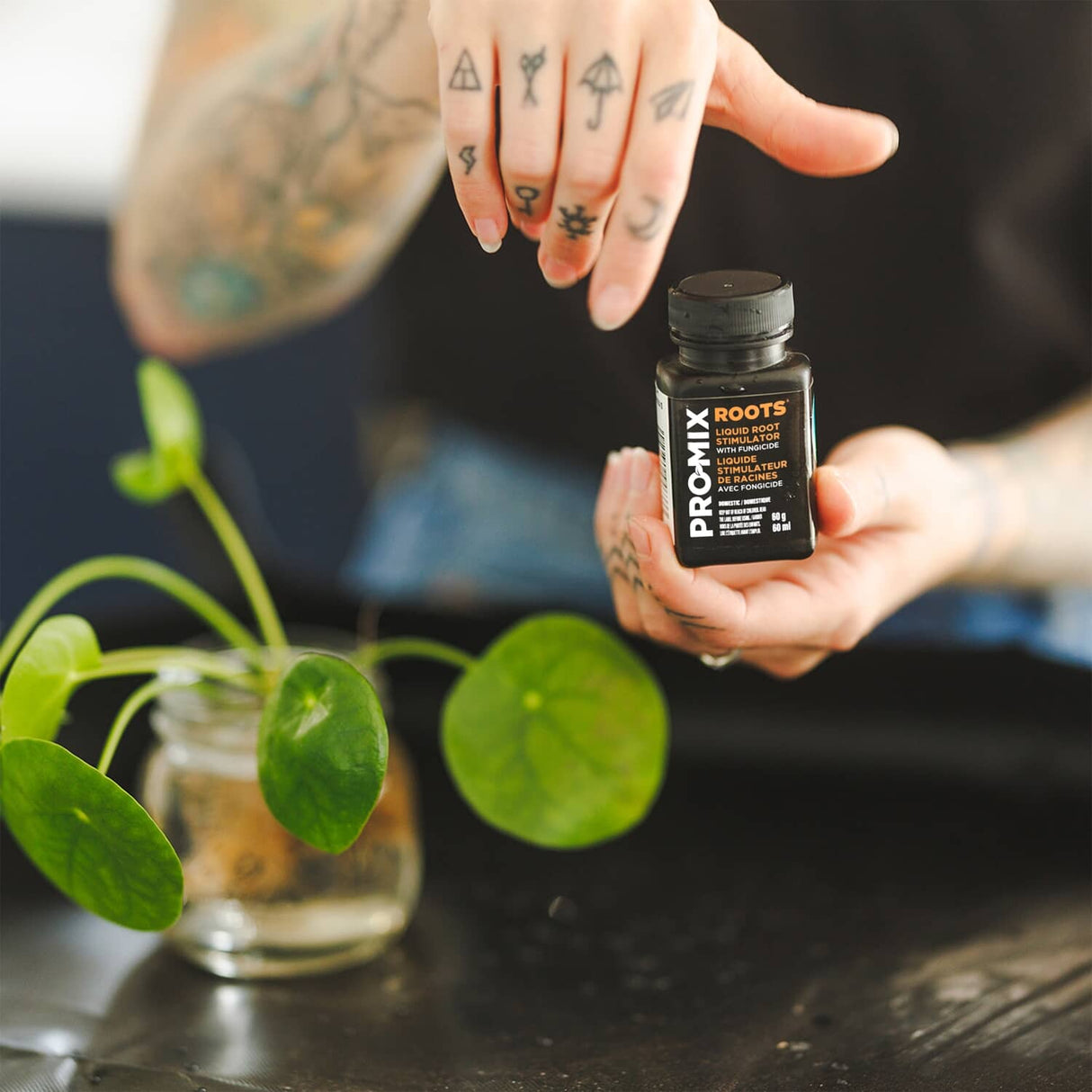 Roots Liquid Root Stimulator with Fungicide - 60 ml