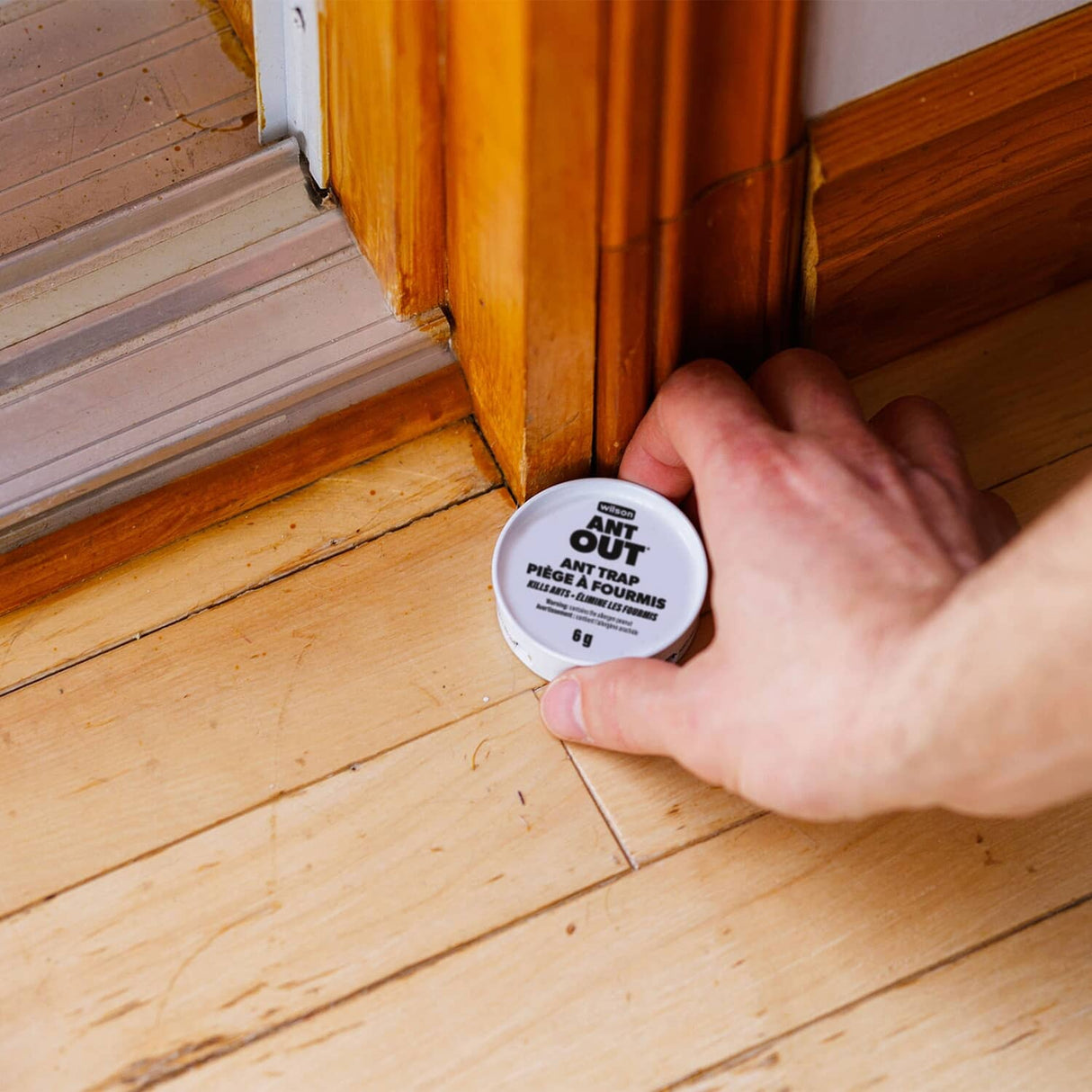 AntOut Ant Traps - 3 Pack