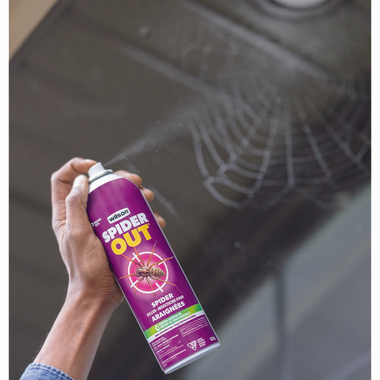 SpiderOut Spider Killer Aerosol - 425 g