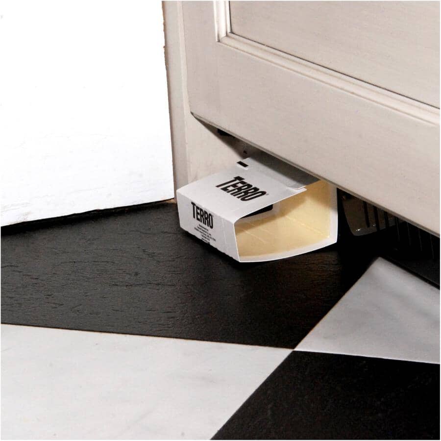 Spider & Insect Traps - 4 Pack