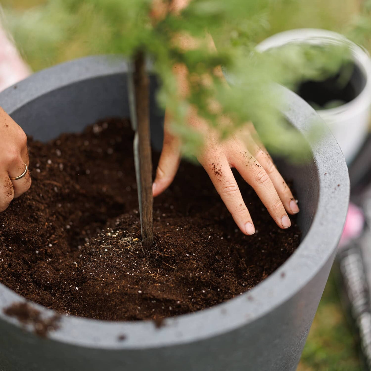 Premium Potting Soil Mix - 56.6 L