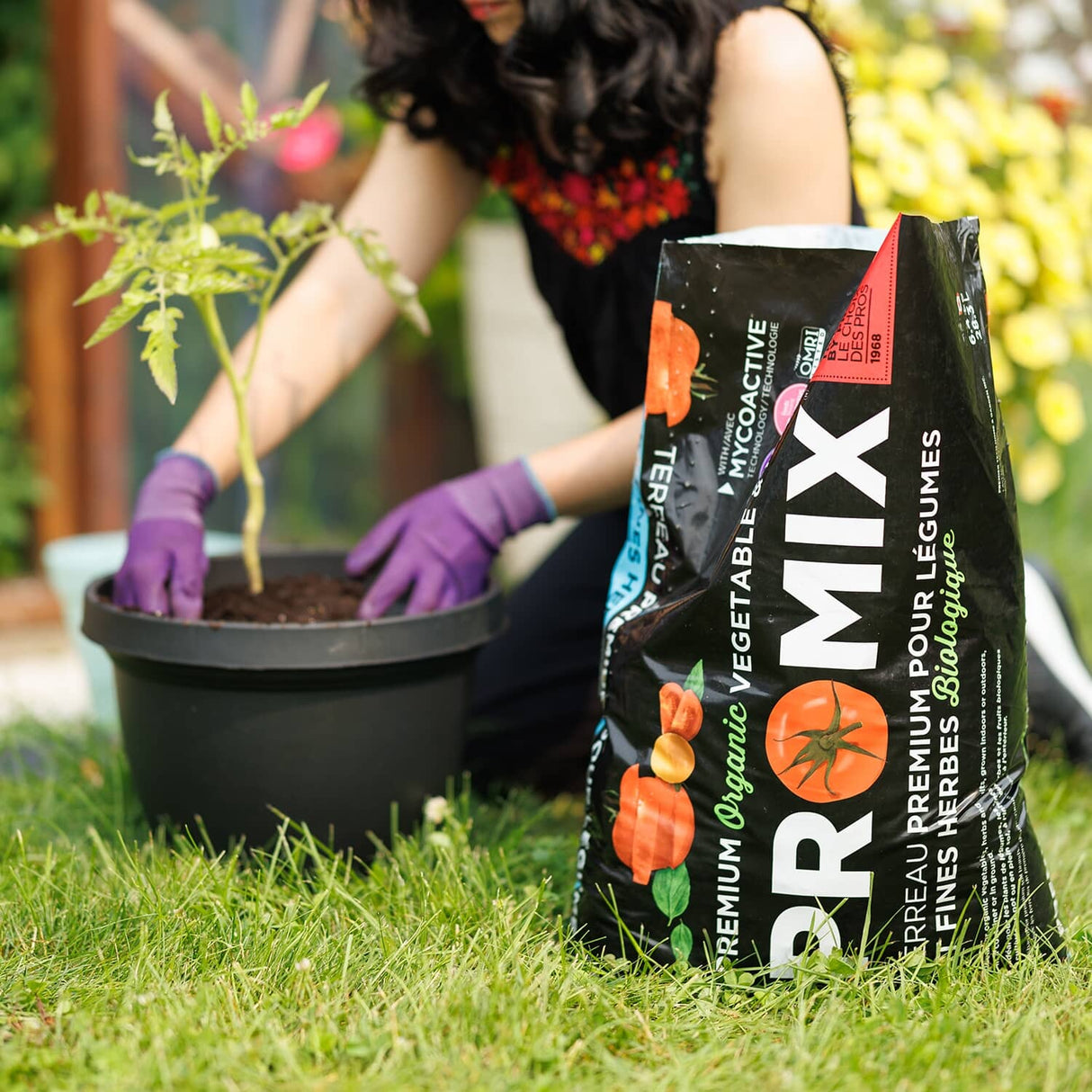 28L Organic Vegetable and Herb Soil Mix