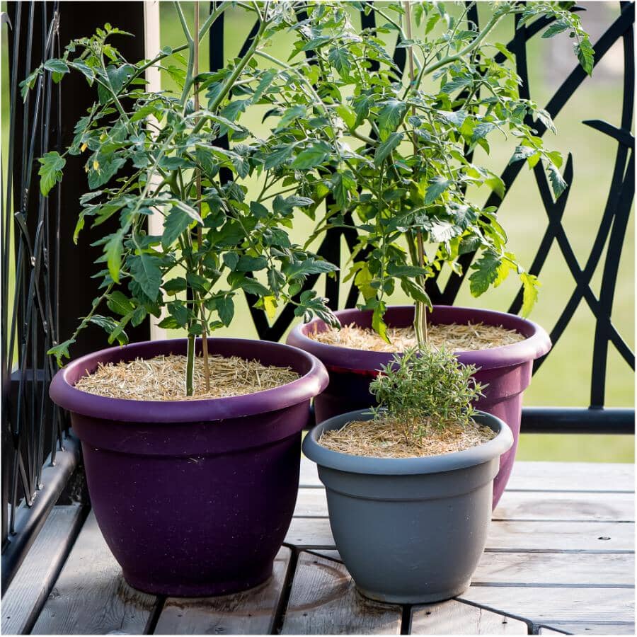 0.5 Cu. Ft. GardenStraw Mini Premium Mulch