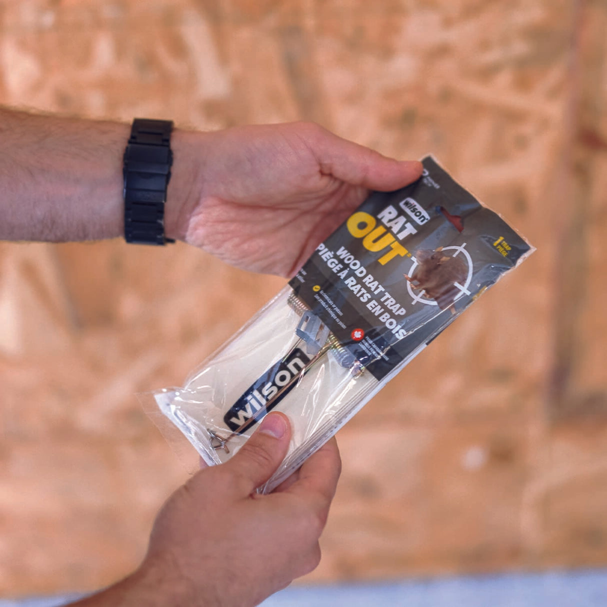 Predator Wood Rat Trap