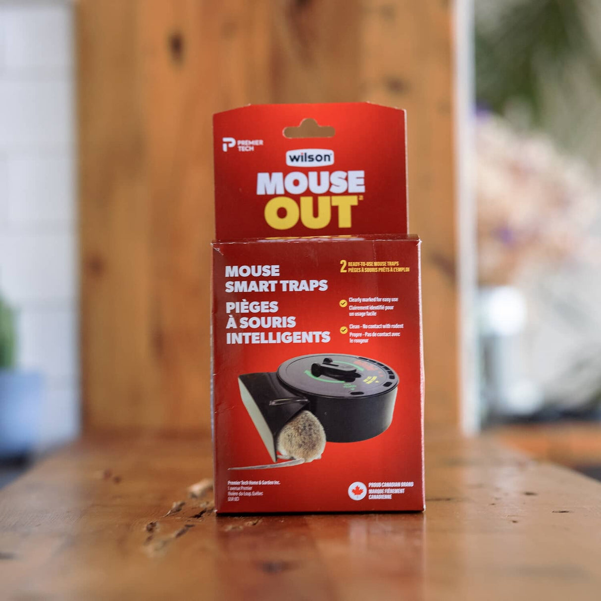 MouseOUT Smart Mouse Trap - 2 Pack