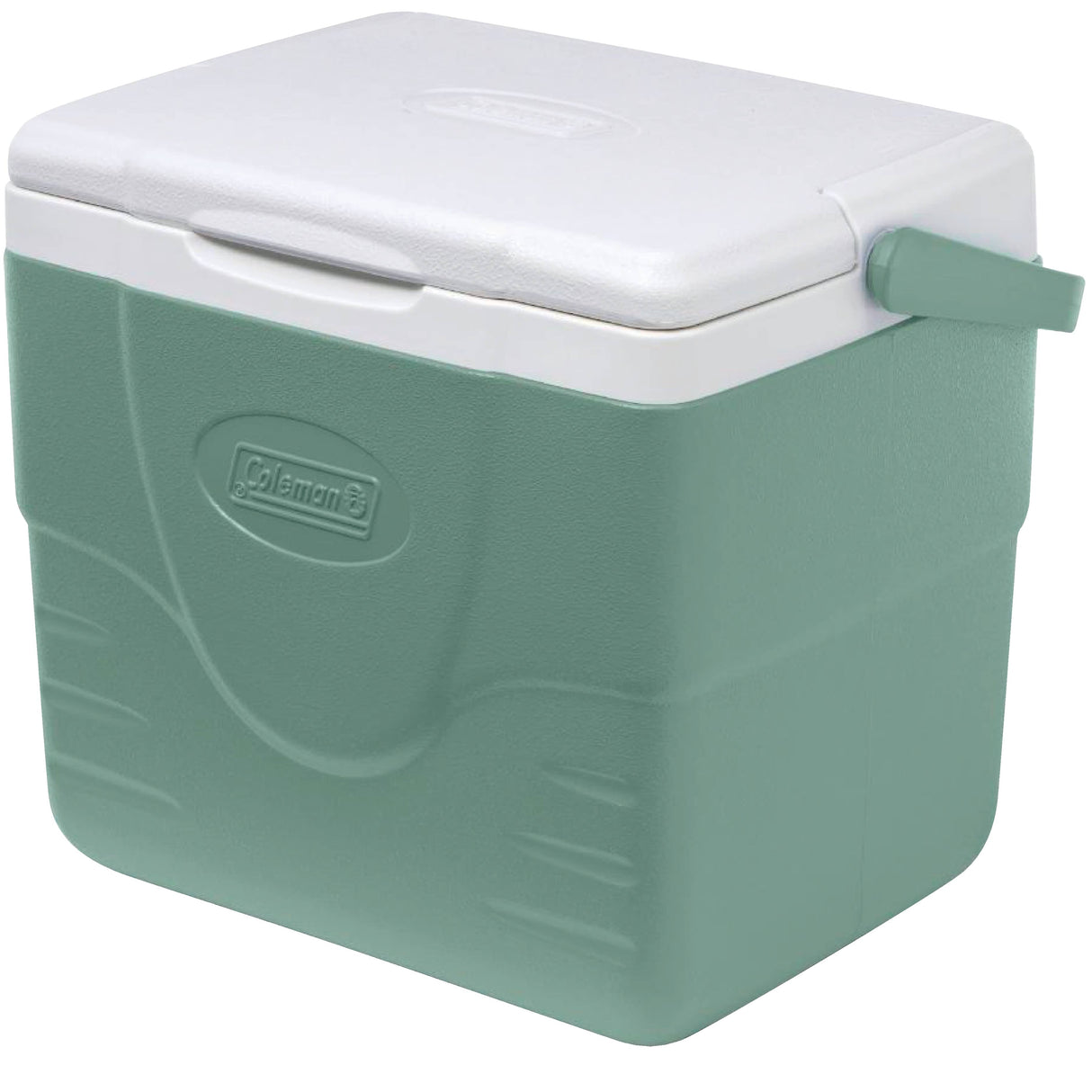 Chiller 9 Qt Cooler - Hickory Moss
