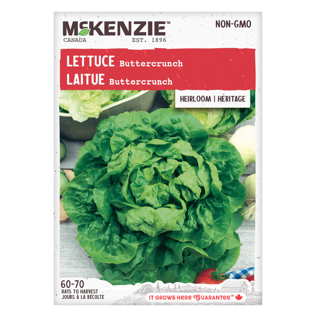 Buttercrunch Lettuce Seeds