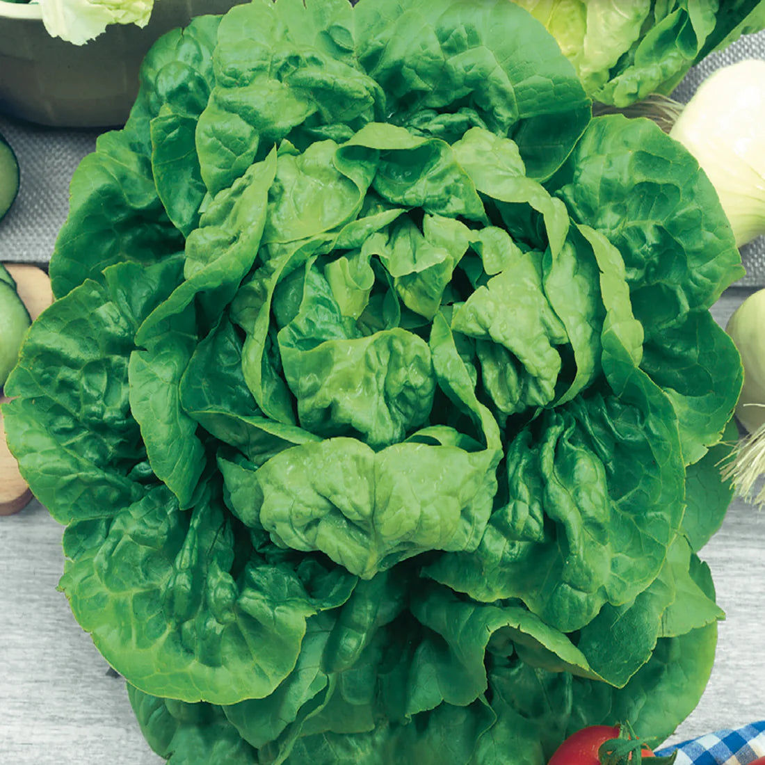 Buttercrunch Lettuce Seeds