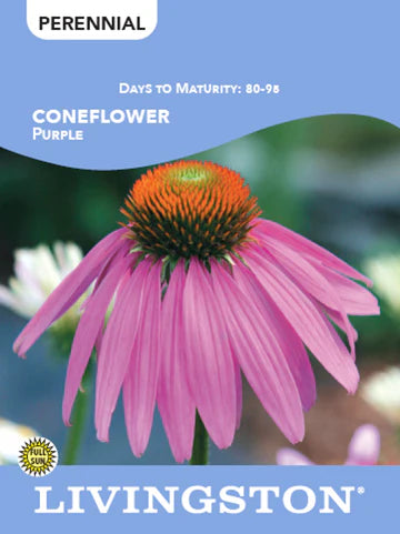 Purple Coneflower Seeds