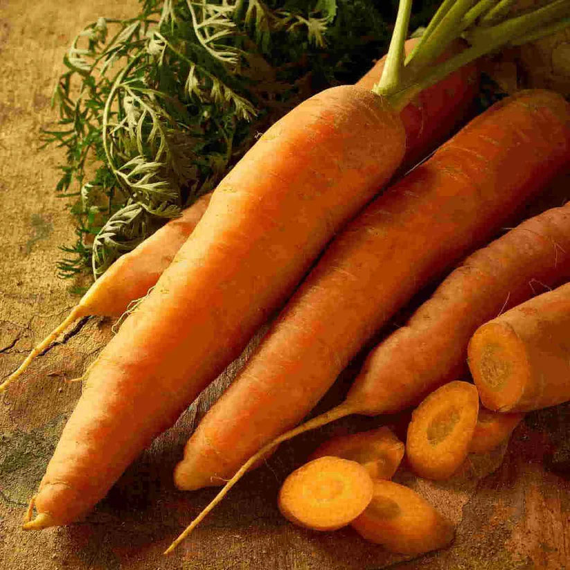 Scarlet Nantes Carrot Seeds