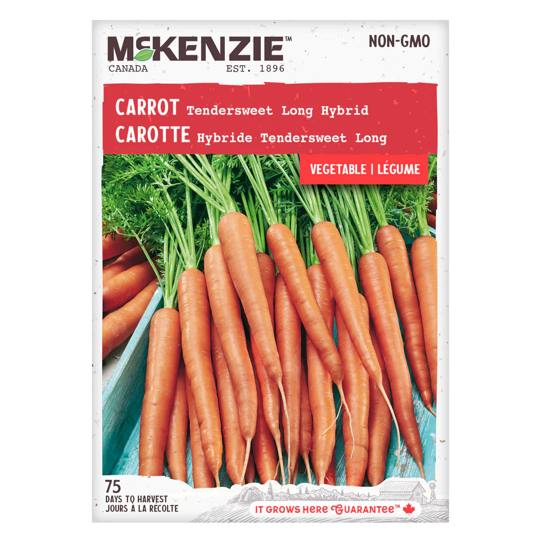 Tendersweet Long Carrot Seeds