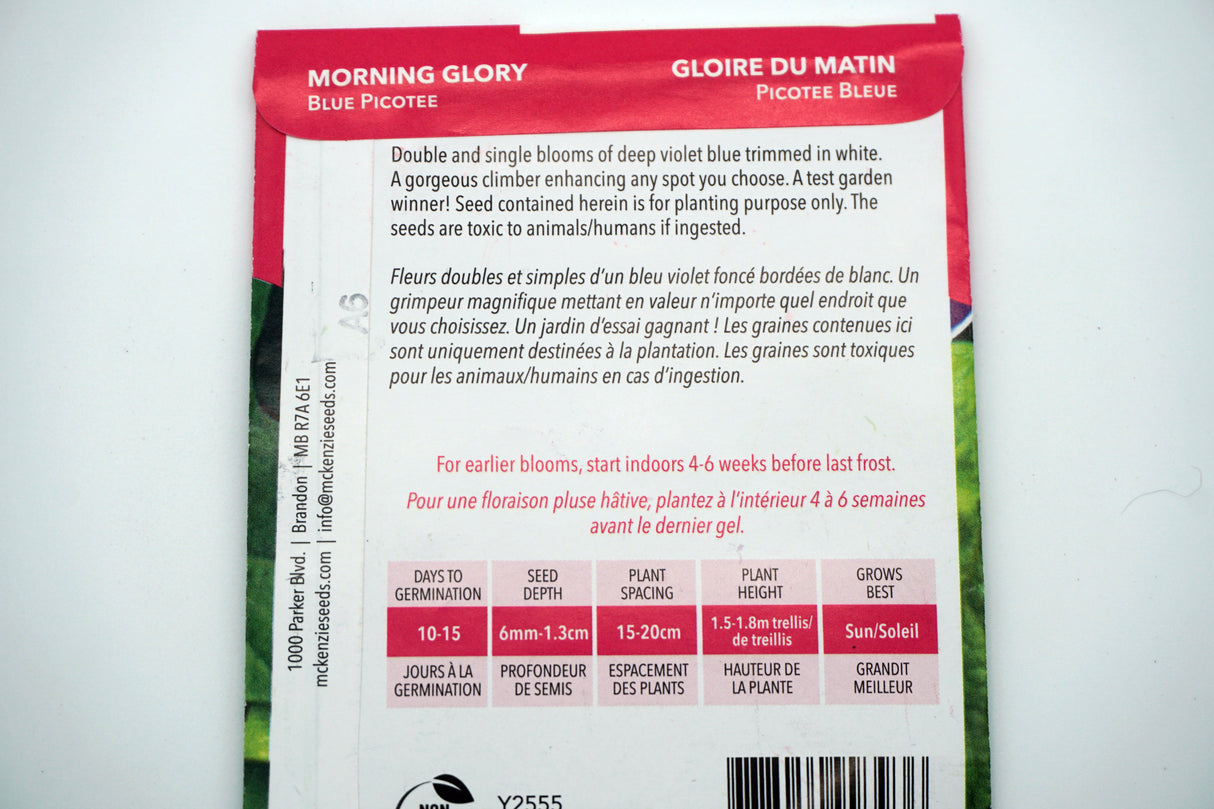 Blue Picotee Morning Glory Seeds