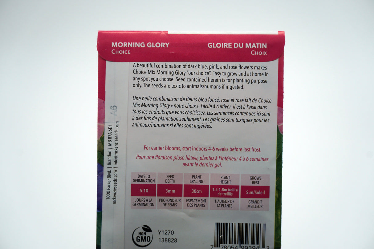 Morning Glory Choice Mix Seeds