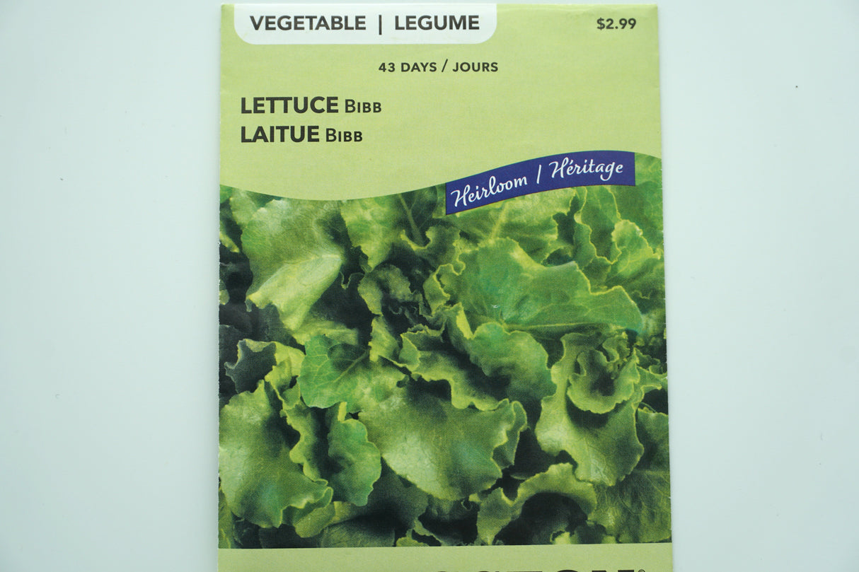 Bibb Lettuce Seeds