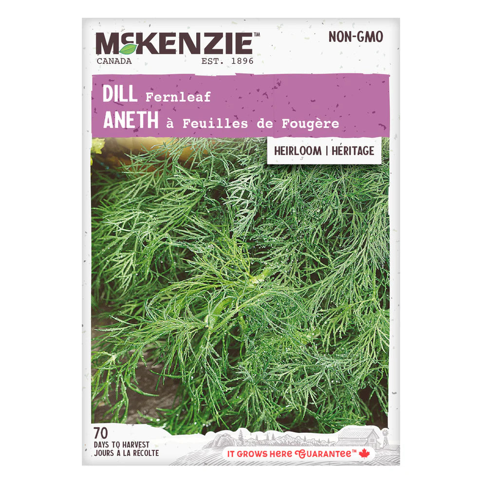 Dill Fernleaf Seeds
