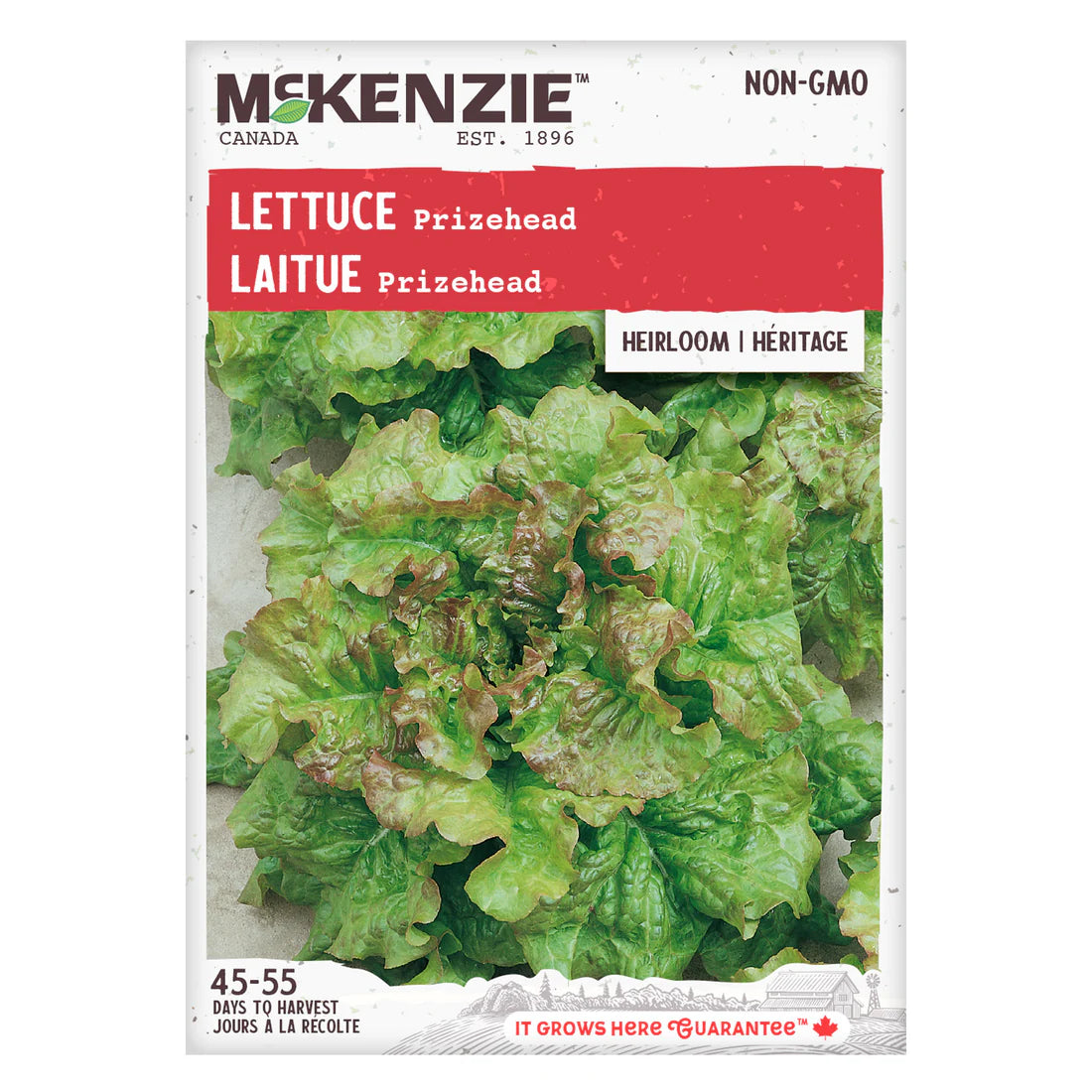 Prizehead Lettuce Seeds