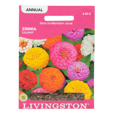 Zinnia Lilliput Seeds