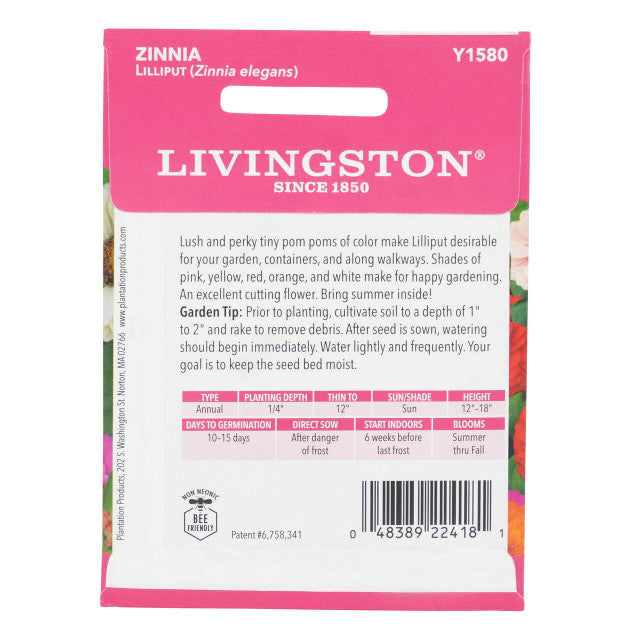 Zinnia Lilliput Seeds
