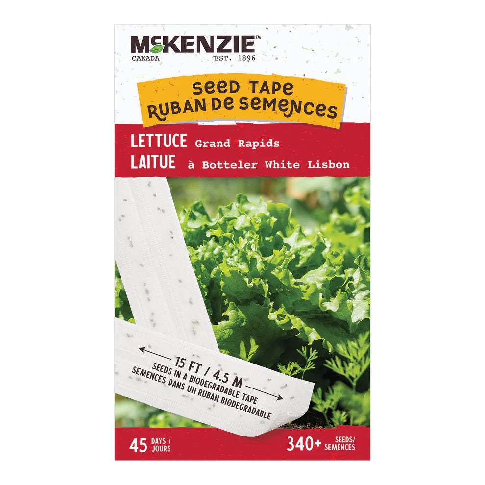 Romaine Lettuce Seeds - Seed Tape