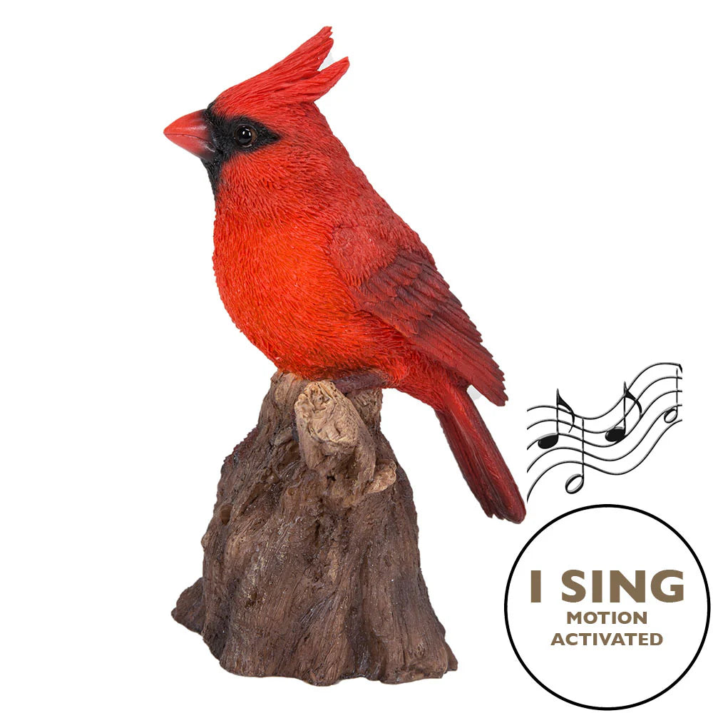 Motion Activated Cardinal