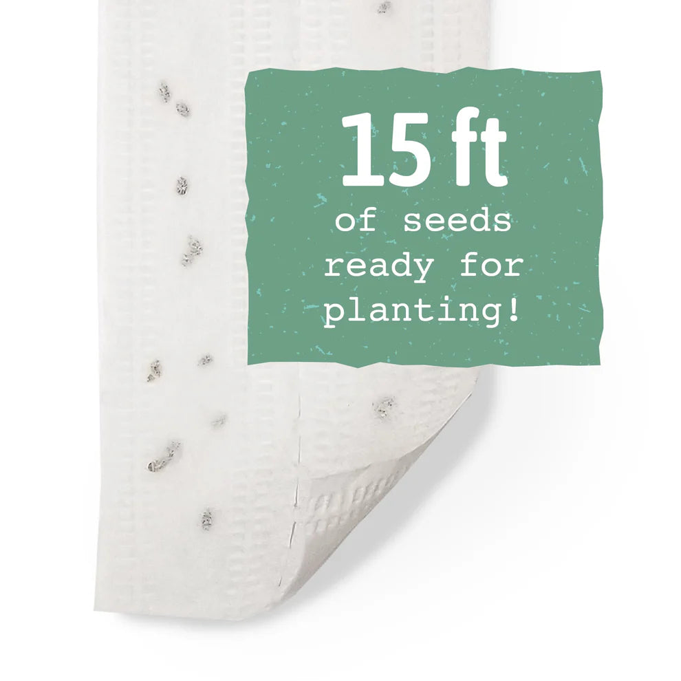 White Lisbon Onion - Seed Tape