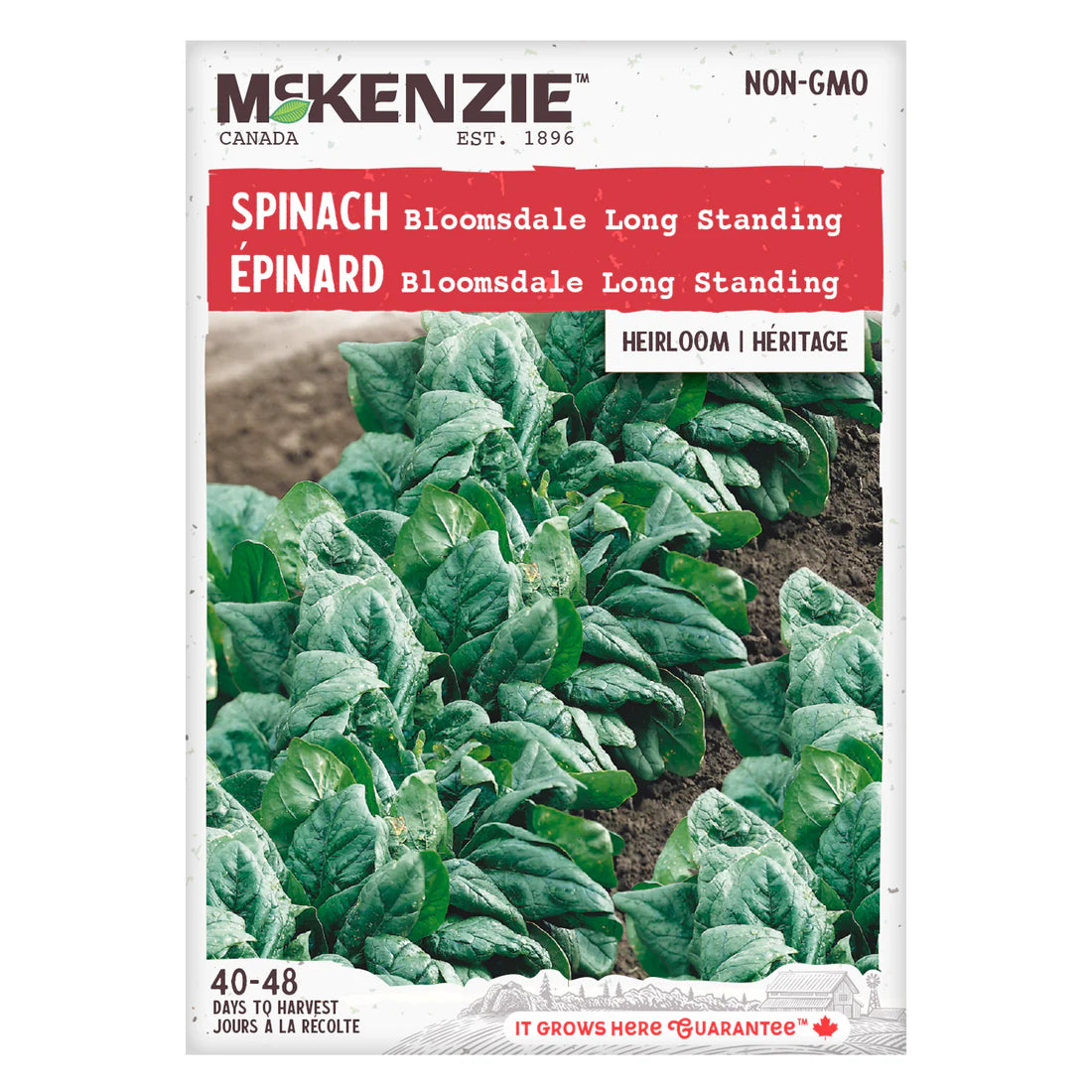 Long Standing Bloomsdale Spinach Seeds
