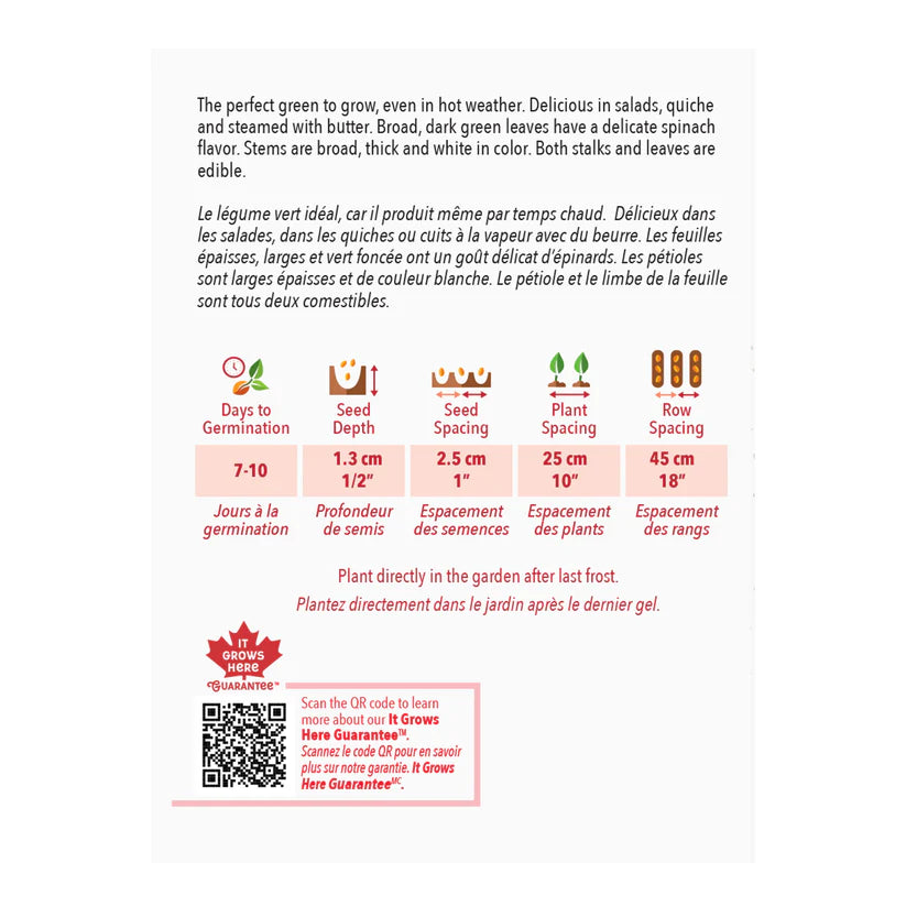Fordhook Giant Swiss Chard Seeds