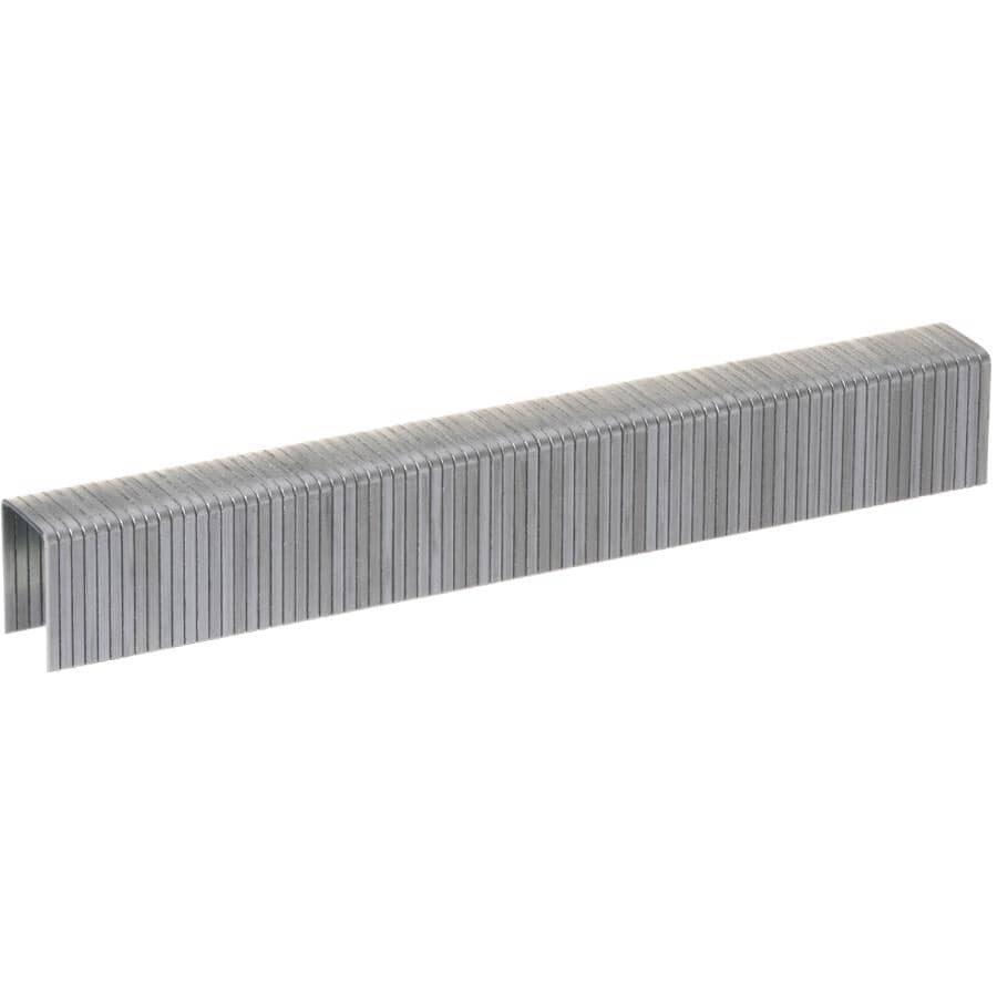 1250 Pack 9/16" T50 #509 Staples