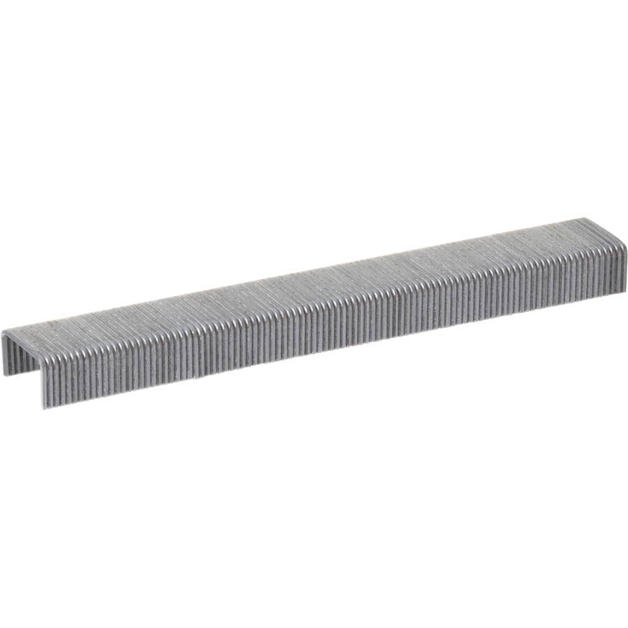 1/4" Staples - for JT21 Stapler, 1000 Pack