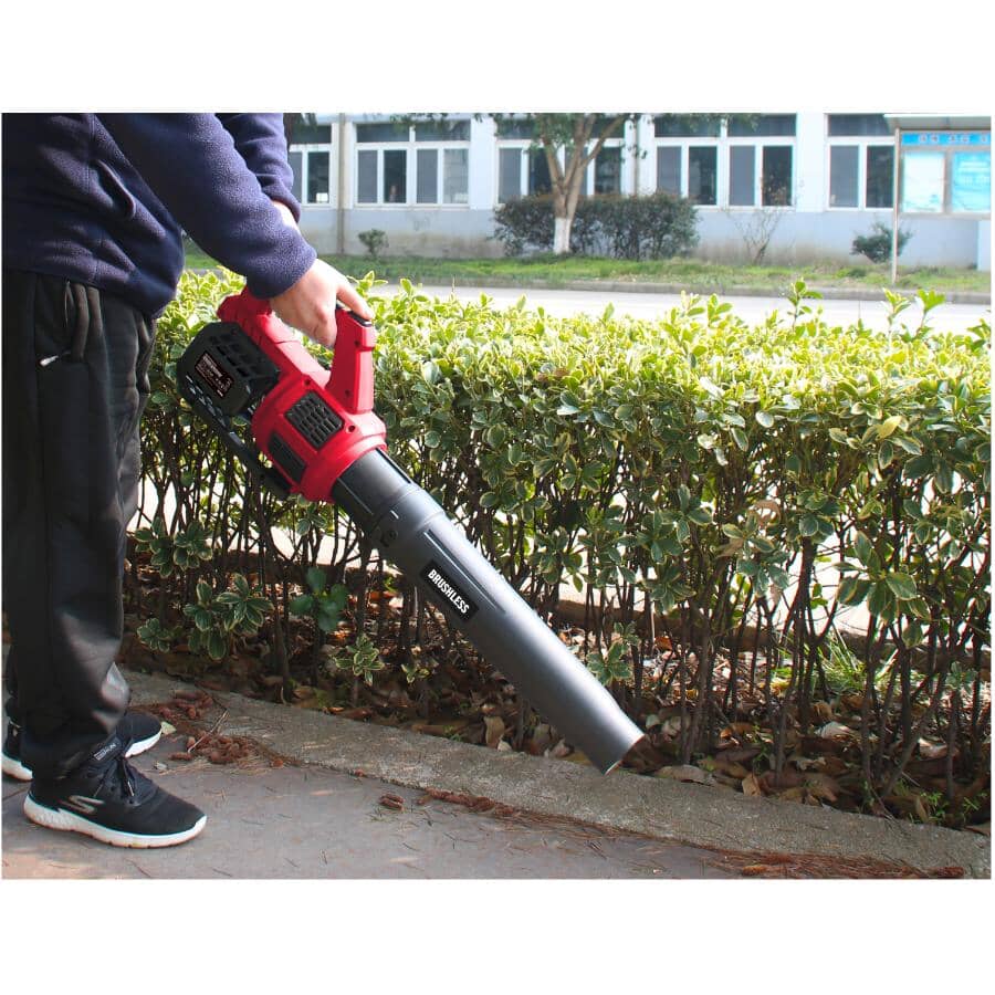 Cordless Lawn Blower & Trimmer Kit - 20 Volt