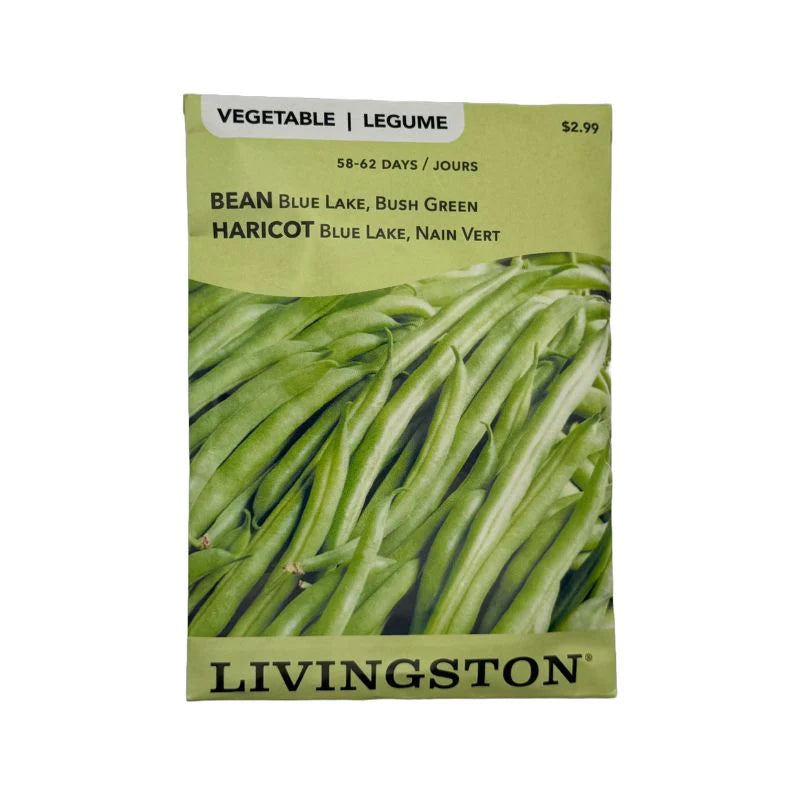 Bean Blue Lake Bush Seeds
