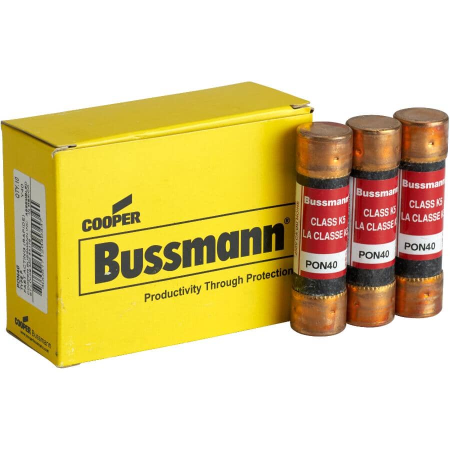 Bulk 40 Amp Cartridge P Fuse