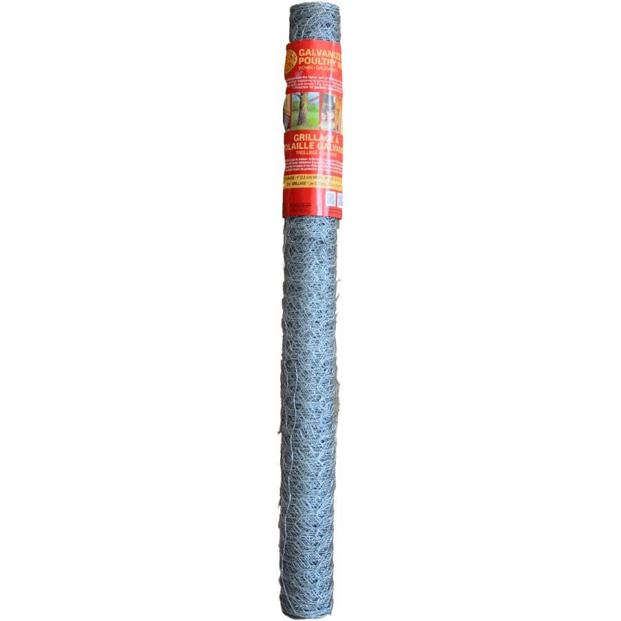 21-Gauge Galvanized Poultry Netting - 1" x 36" x 25'