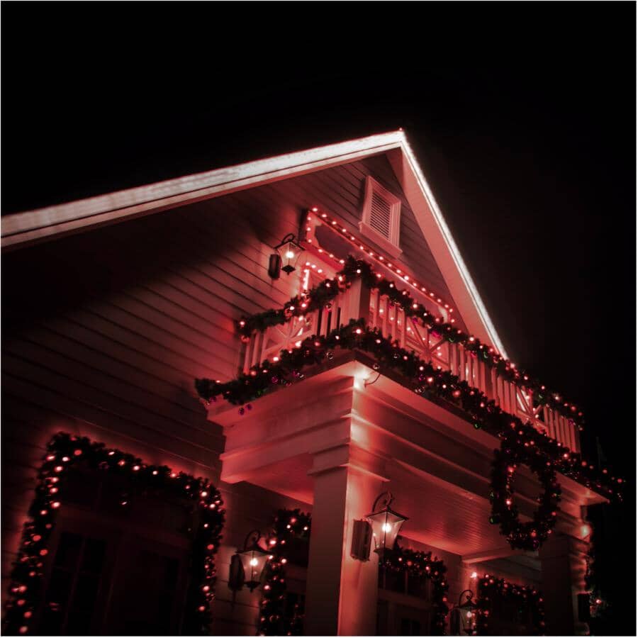 C6 Light Set with Green Wire - Red, 50 LEDs