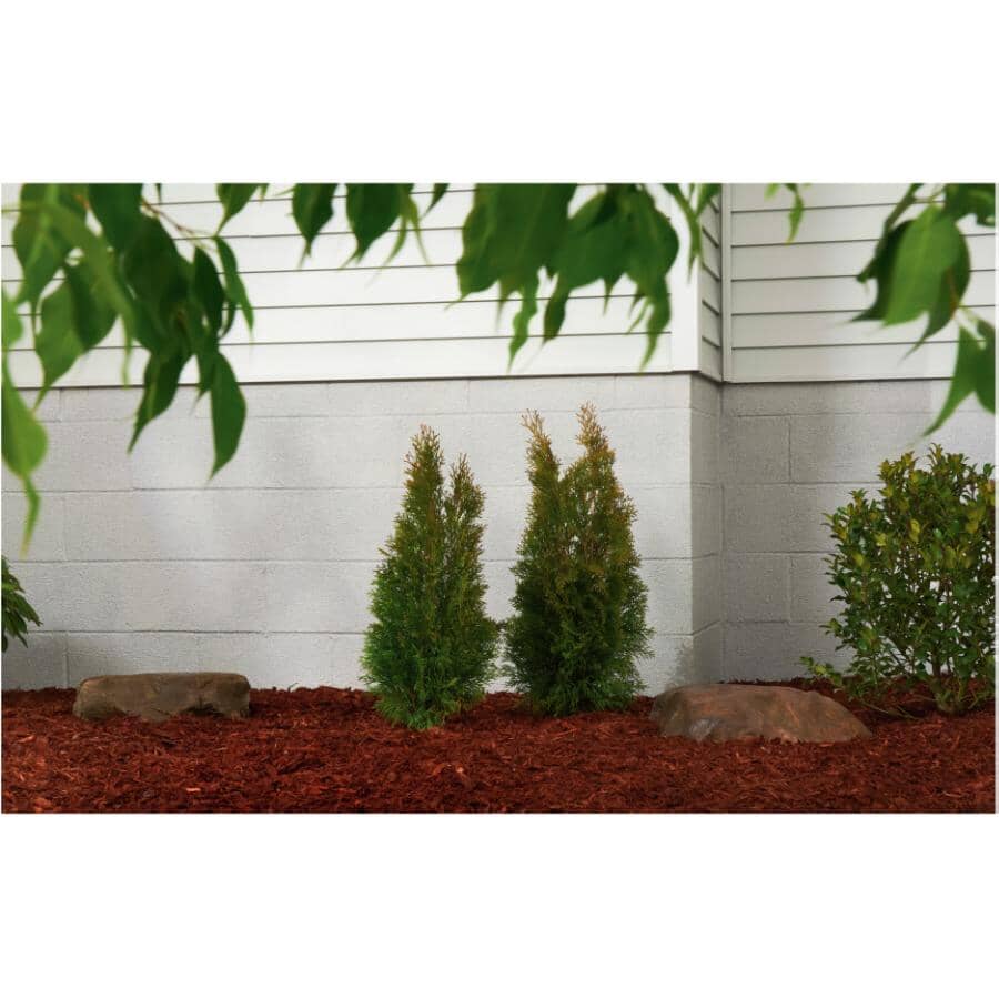 Masonry Latex Base Waterproofer - Extreme White, 3.78 L