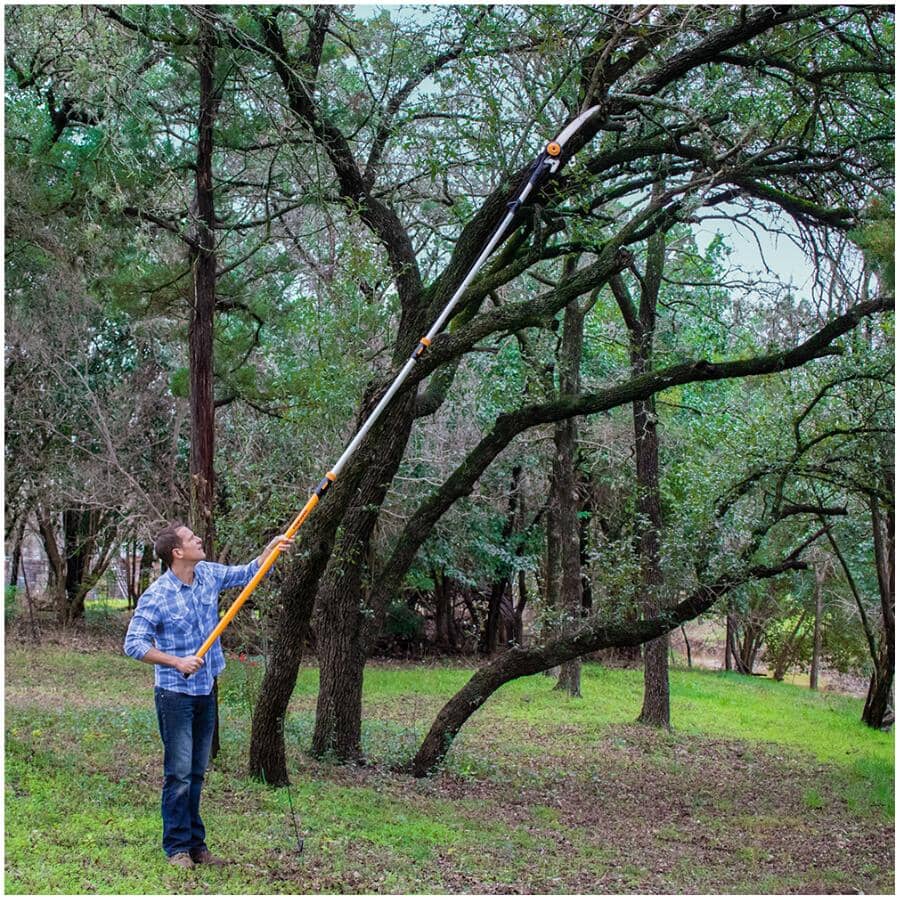12' Extendable Tree Pruner