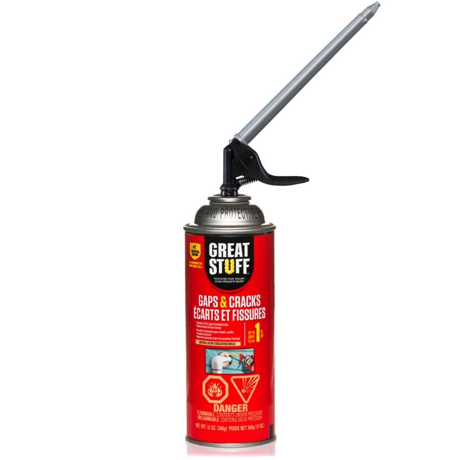 Gaps & Cracks Insulating Foam Sealant - 340 g