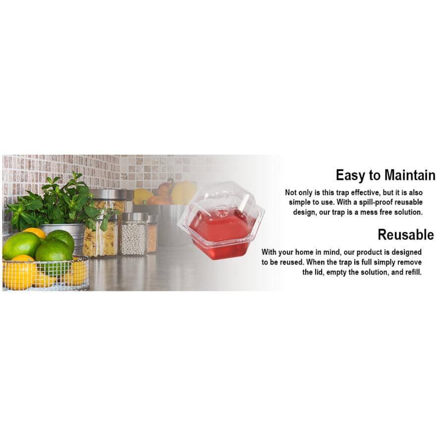 6 Pack Fruit Fly Traps