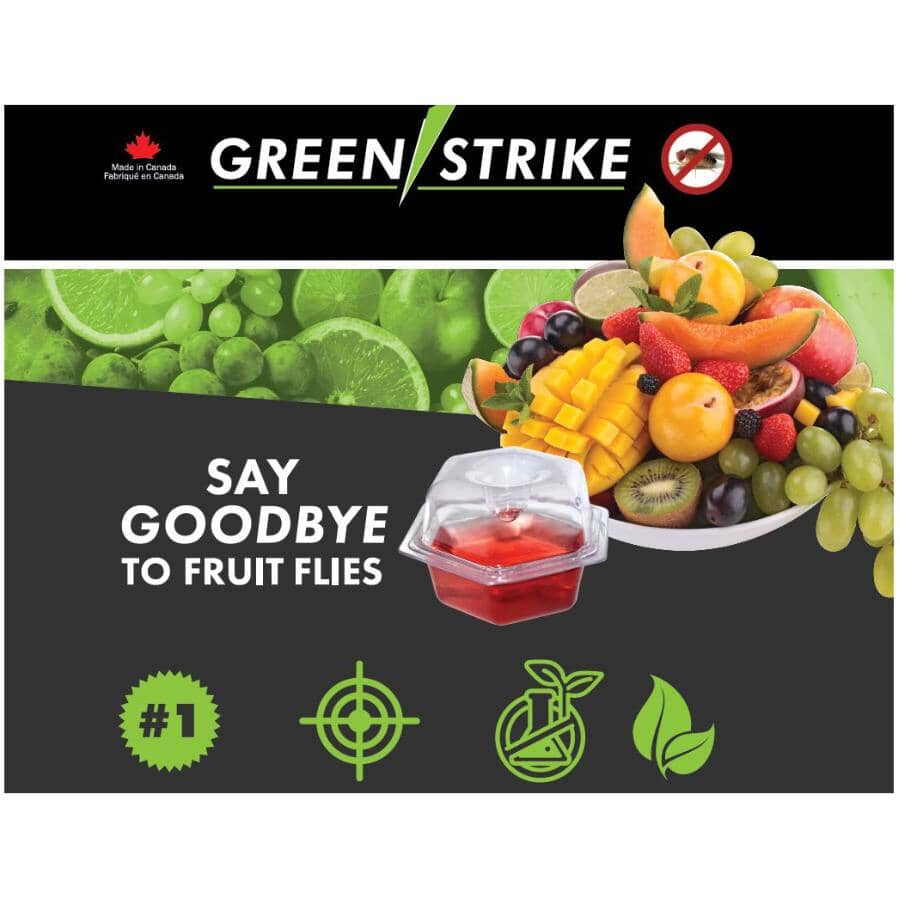 6 Pack Fruit Fly Traps