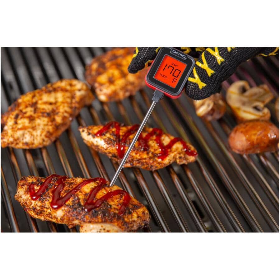 Digital Barbecue Thermometer