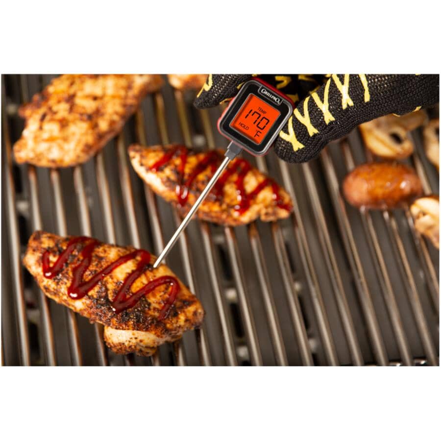 Digital Barbecue Thermometer