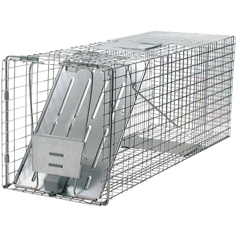 32" x 10" x 12" 1 Door Live Animal Trap