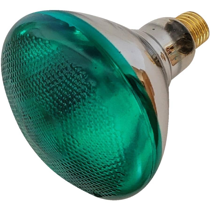 100W PAR38 Medium Base Green Indoor & Outdoor Flood Light Bulb