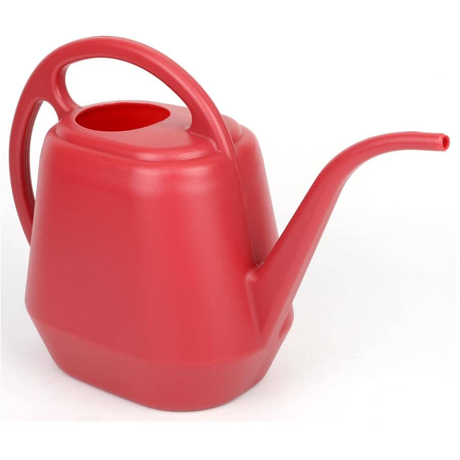 Watering Can - Blue, 4 L