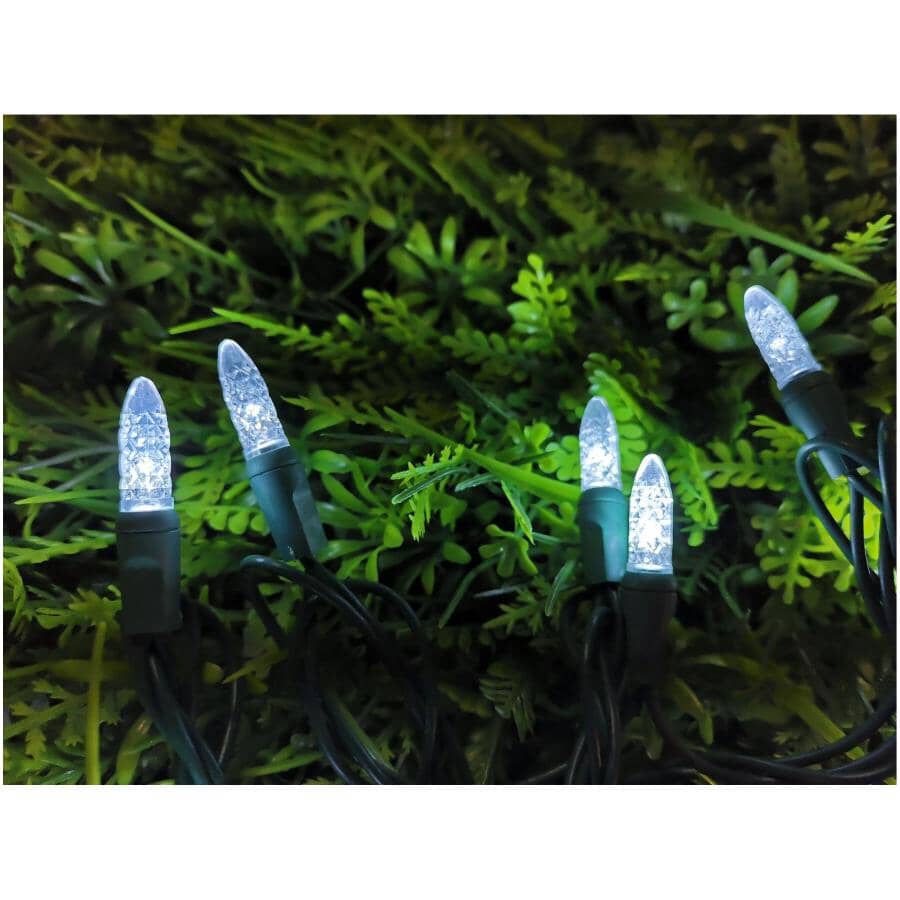 35 LED Pure White M5 Light Set - with Green Wire