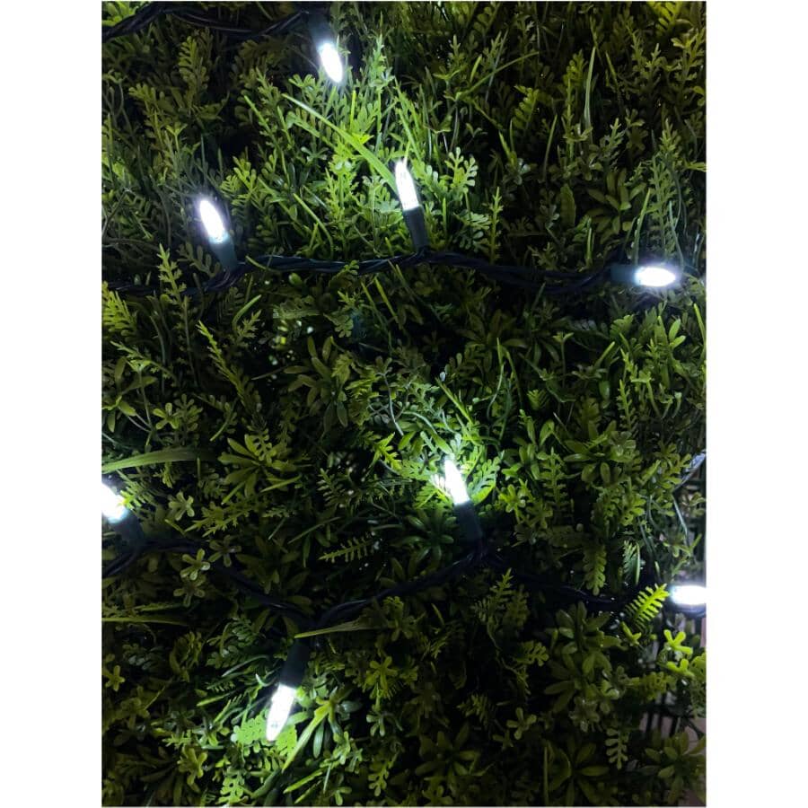 35 LED Pure White M5 Light Set - with Green Wire